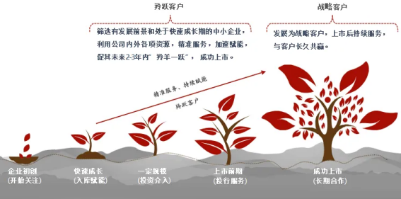 芯森电子加入招商证券“羚跃计划”,携手探索产业协同新机遇